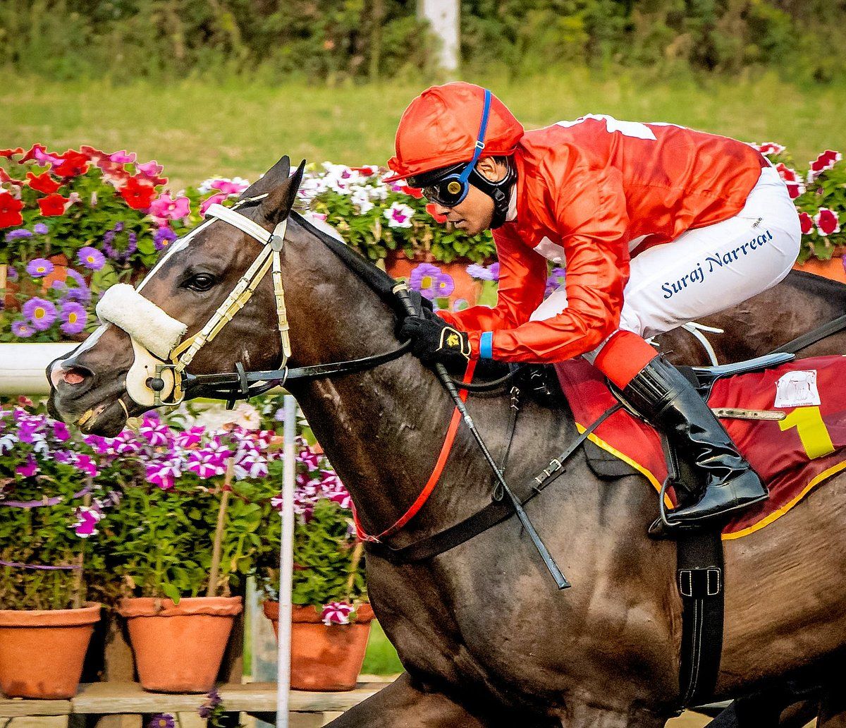 Suraj Narredu'nun Ascot Rüyası Dubai Duty Free Shergar Cup'ta Gerçek Oldu