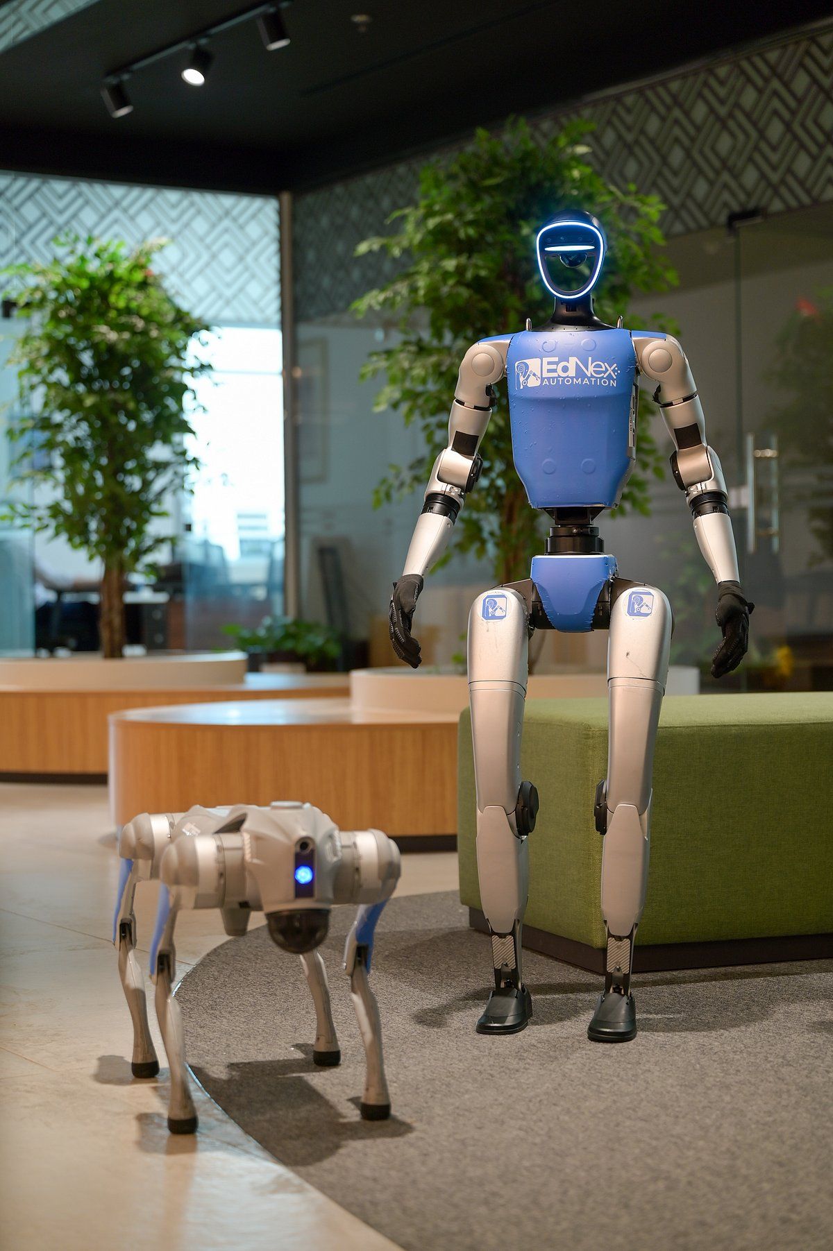 Video: Dubai Hükümdarını Karşılayan Viral Robotla Tanışın, Yolun Karşısına Geçti; Maliyet, Ortaya Çıkan Özellikler