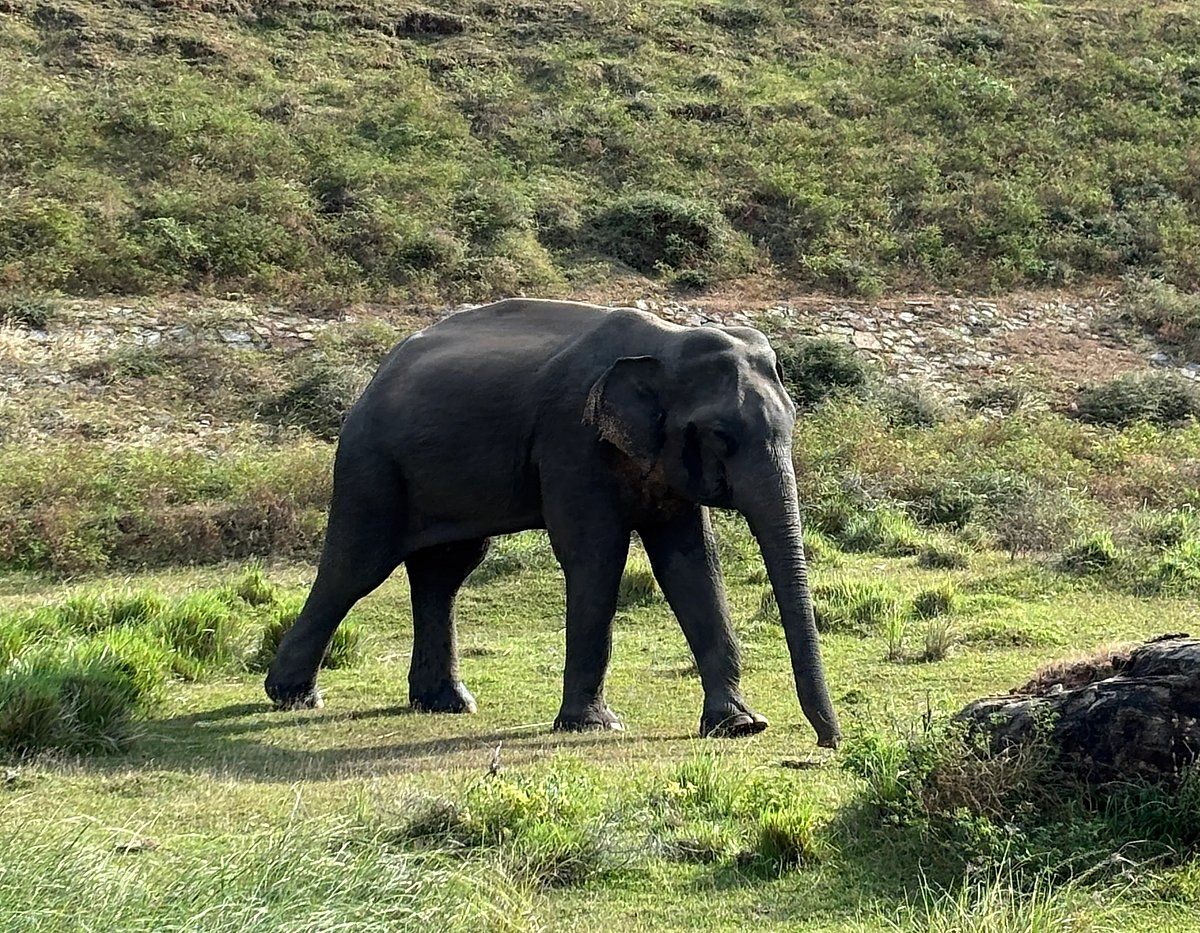 BAE'den Sri Lanka'ya: Yala Milli Parkı'nda Görülecek Şeyler