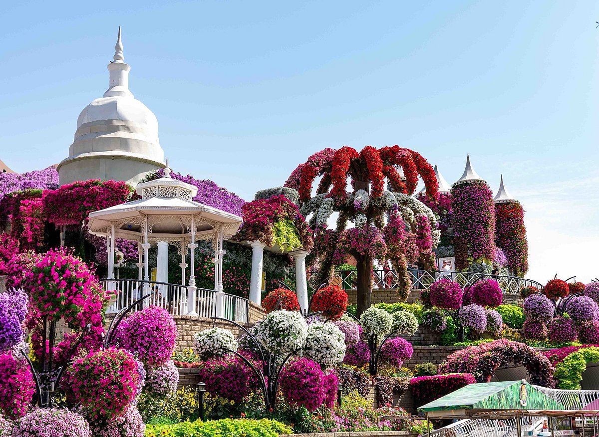 Dubai Miracle Garden, 14. Sezonun Açılış Tarihini Açıkladı