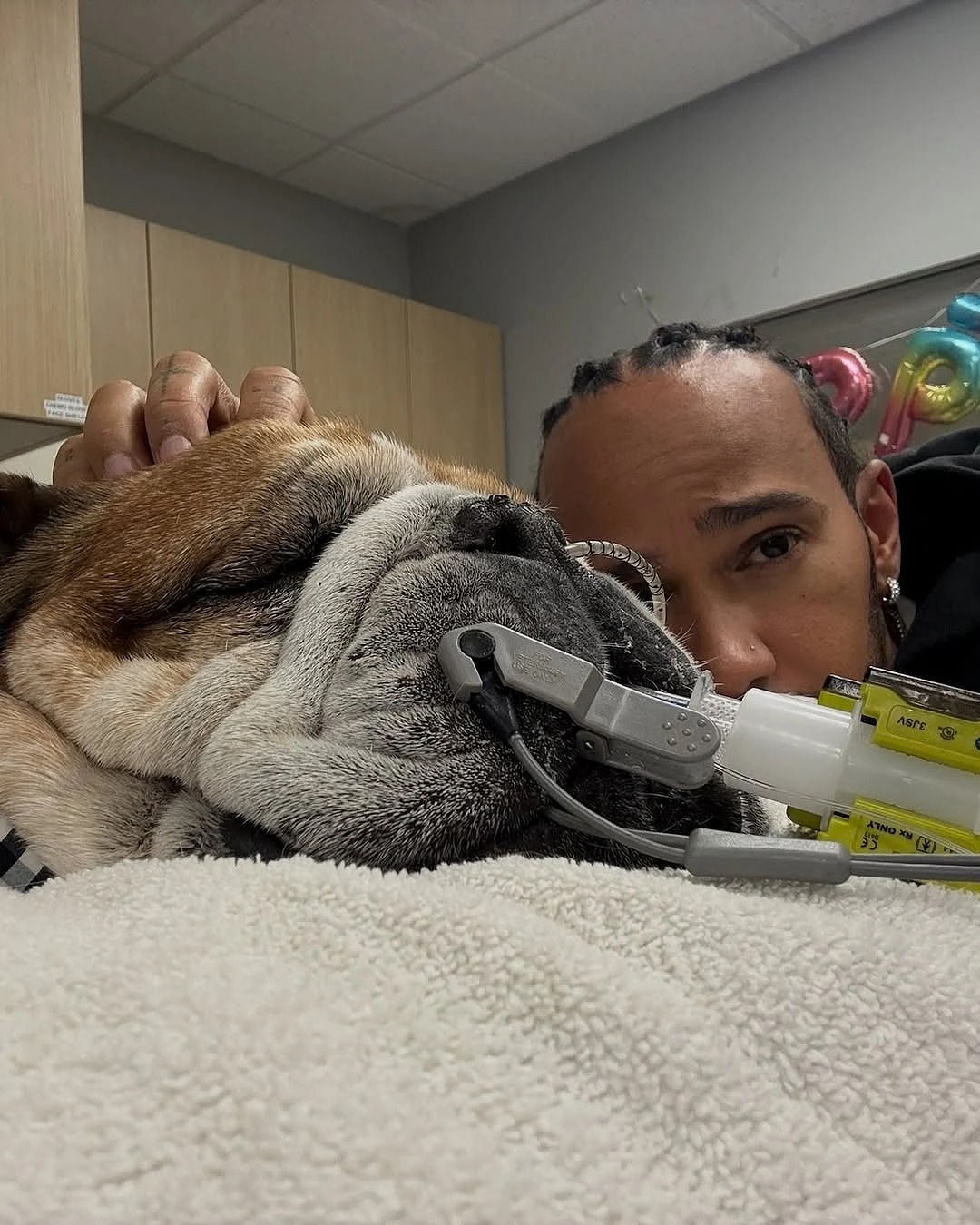 Lewis Hamilton, Hasta Bir Evcil Hayvanla Birlikte Olmak için Ferrari Lastik Testinden Çıktı
