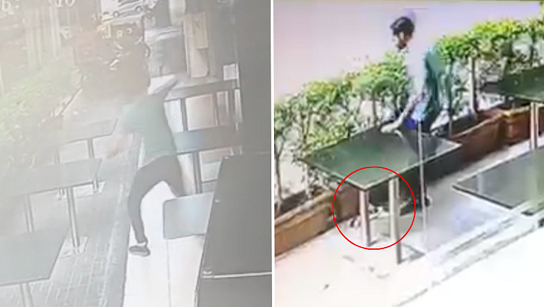 Sharjah: Yavru Kedi Ölü Bulunduktan Sonra Kedileri Taciz Eden Güvenlik Kamerasına Yakalanan Adam