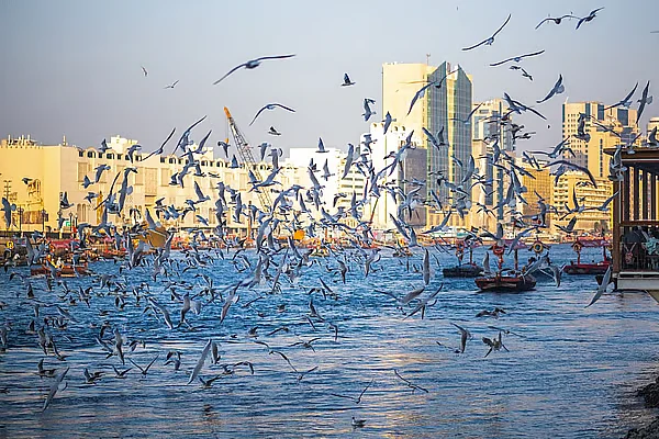 Yarın BAE Hava Durumu: 21ºc'ye Düşecek Sıcaklıklar; Geceleri Nemli Koşullar