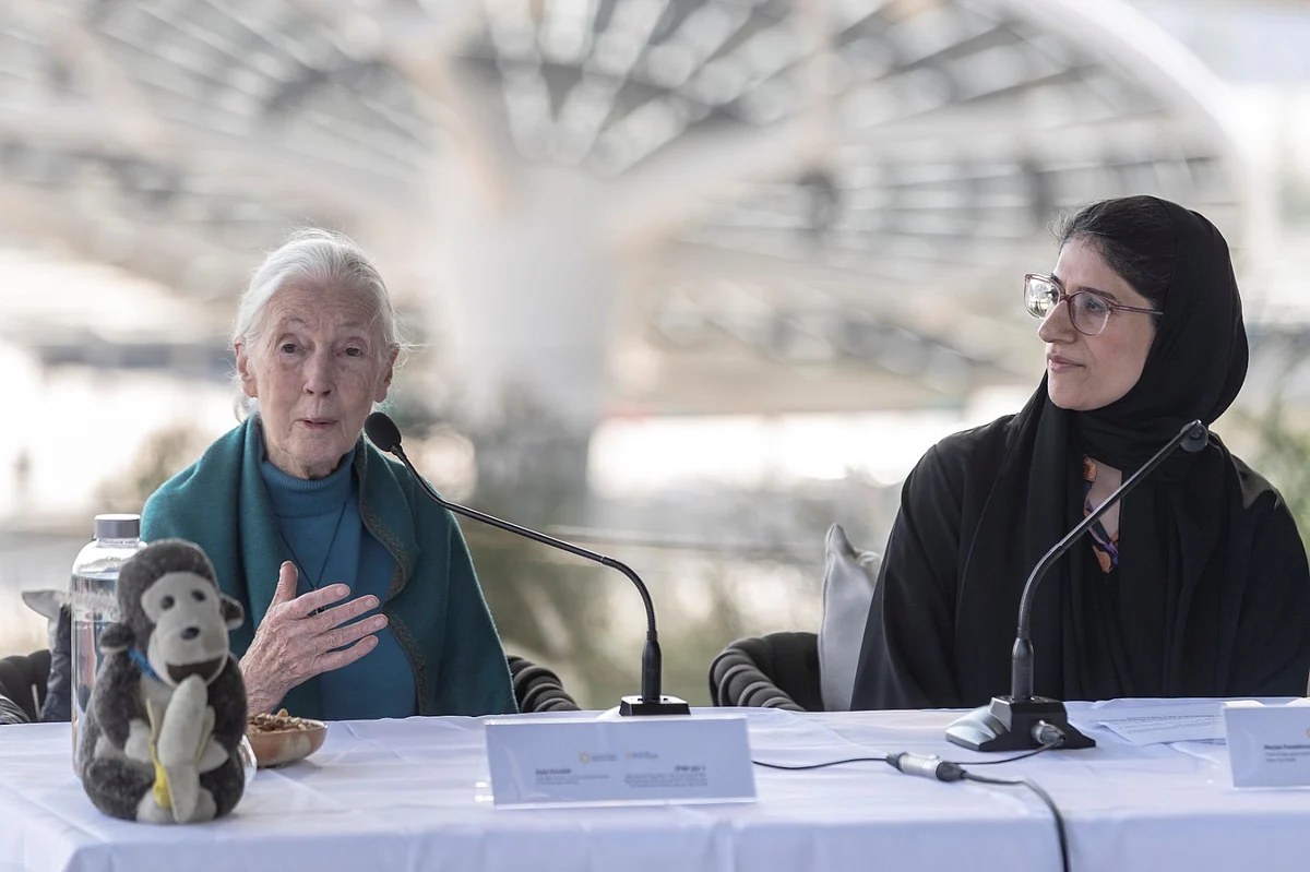 BAE, Mirası Expo City Dubai'de Yaşayan Koruma Simgesi Jane Goodall'ın Yasını Tutuyor