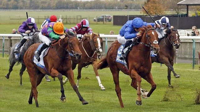 Satış Yüzüğünden Kazananın Çemberine, Godolphin'in Geleceği Newmarket'te Şekilleniyor