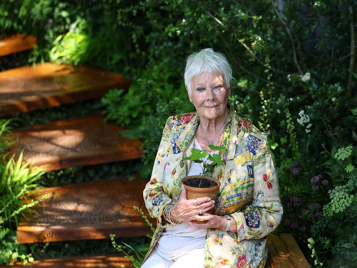 'Artık Televizyon Göremiyorum': Judi Dench Kötüleşen Görme Üzerine Açılıyor