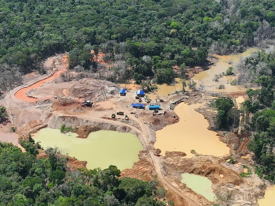 Ayni Gold Q4 2025 Güncellemesi: Tam Ölçekli Platform Lansmanı, Bahis Aktivasyonu ve Sertifika Denetimi Tamamlandı