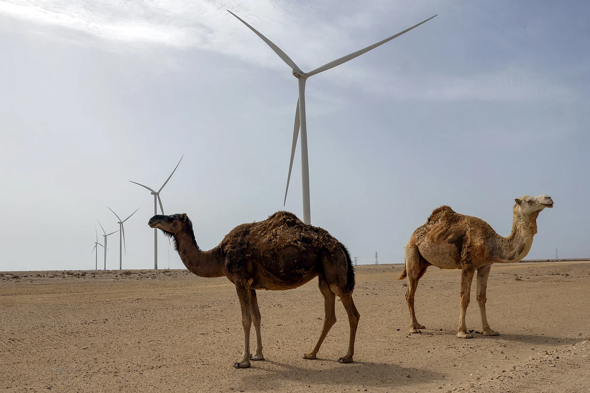 BM Güvenlik Konseyi, Fas'ın Batı Sahra Özerkliği Planını Destekliyor