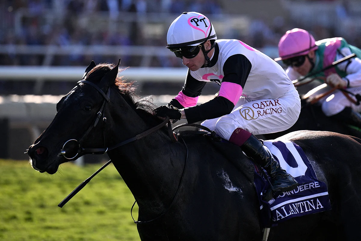 O'brien'ın Breeders Cup'ta Godolphin Eye Cumartesi Zaferi Olarak Açılış Gününe Hakim Olması
