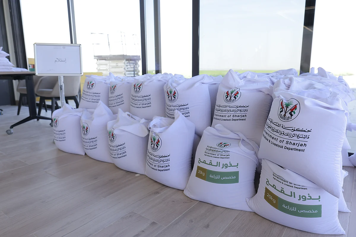 Sharjah: Hükümdarın Hibesi Altında Çiftçilere Verilecek Ücretsiz Organik Buğday Tohumları