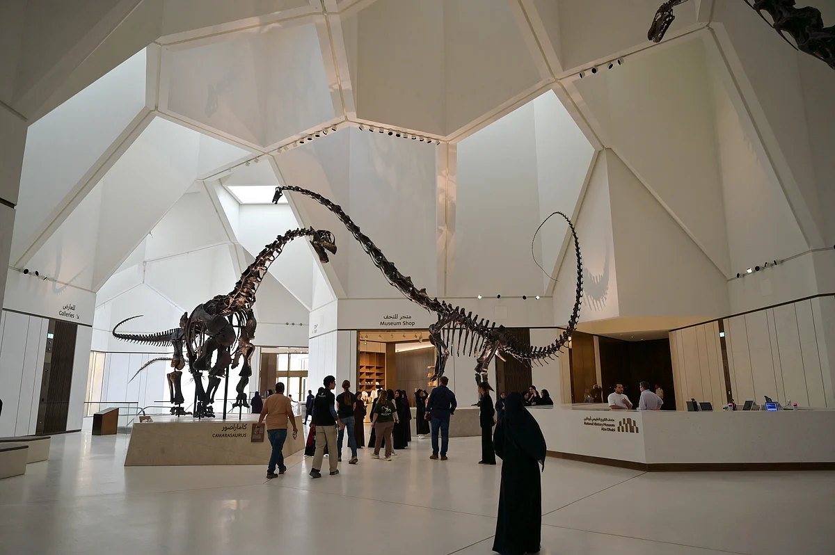 T Rex Fosilleri, Ay Kayası: Abu Dabi'nin Doğa Tarihi Müzesi'ne ilk Bakış