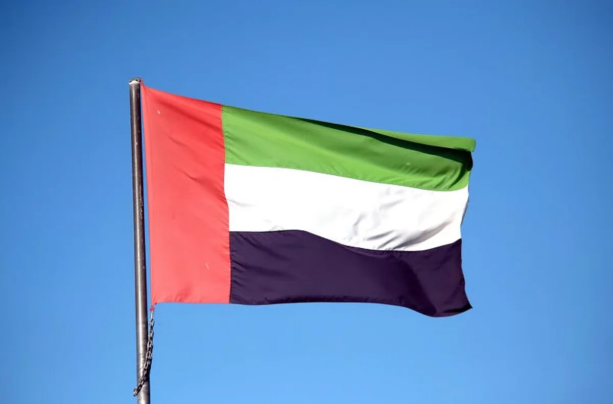 BAE, Libya Ordusu Şefinin Uçak Kazasıyla İlgili Başsağlığı Diledi