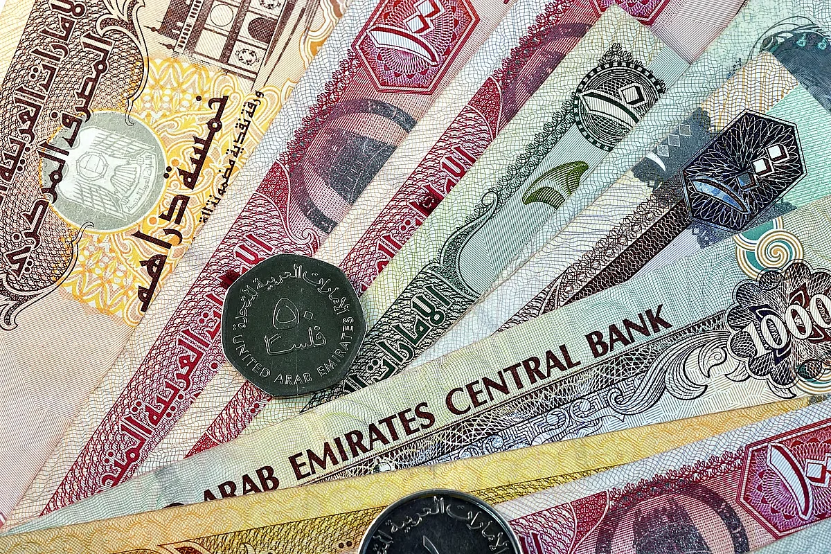 BAE Merkez Bankası, Nafıs Desteğinin Krediler için Yeterince İstikrarlı Gelire Sahip Olmadığını Açıkladı