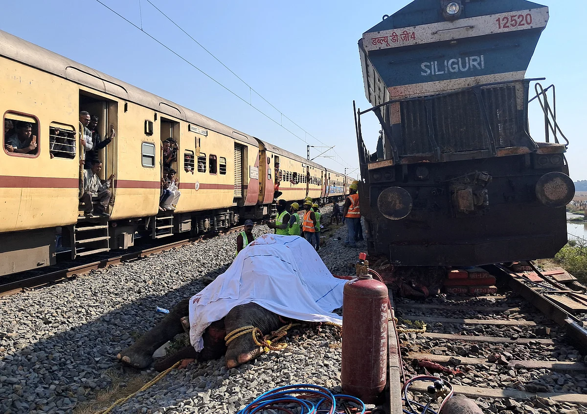 Hindistan: Assam'da Tren Sürüyle Çarpışırken Yedi Fil Öldü