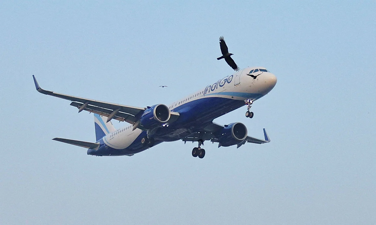 Indigo, Hindistan Havayolundan Operasyonları %10 Azaltmasını İstediğinde BAE Uçuşlarını Kesecek mi?