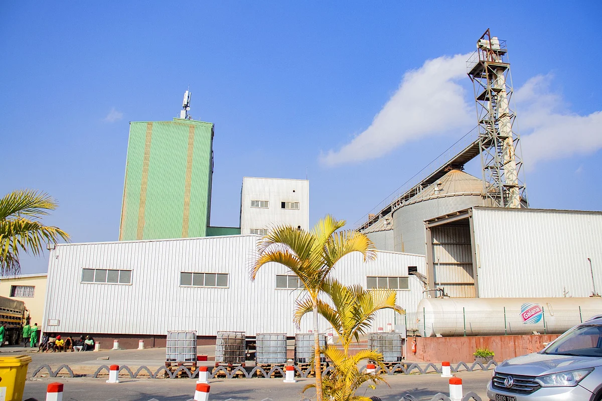 Invıso Group: Madagaskar'ın Endüstriyel ve Tarımsal Dönüşümüne Güç Vermek