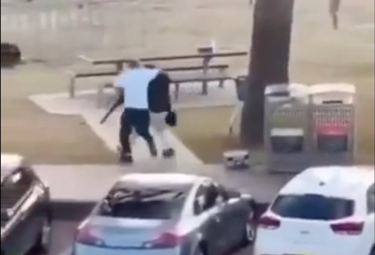 Sidney Çekimi: Bystander'ın Bondi Plajı Atıcılarından Biriyle Nasıl Mücadele Ettiğini İzleyin